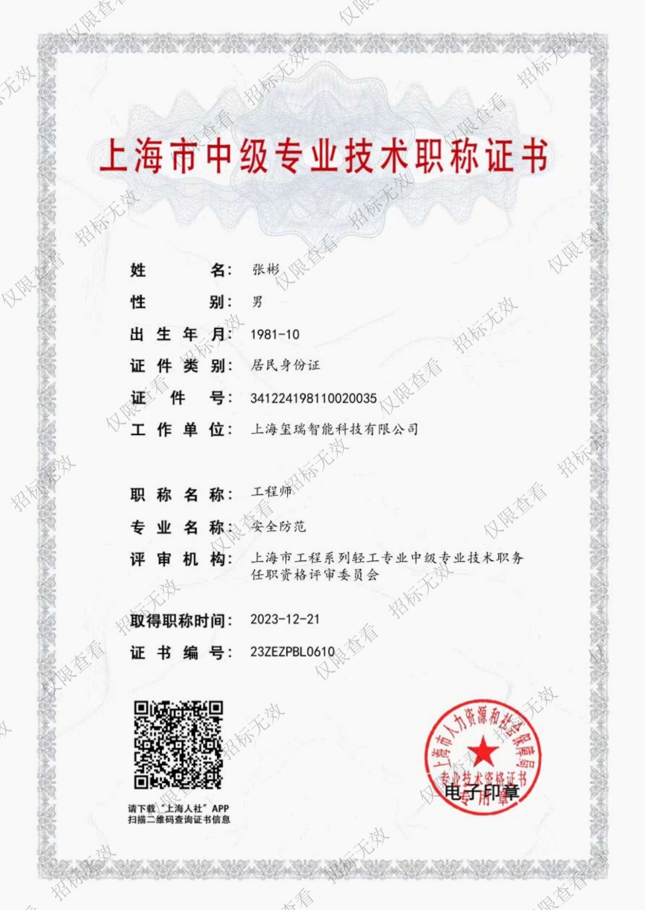 技术负责人职称